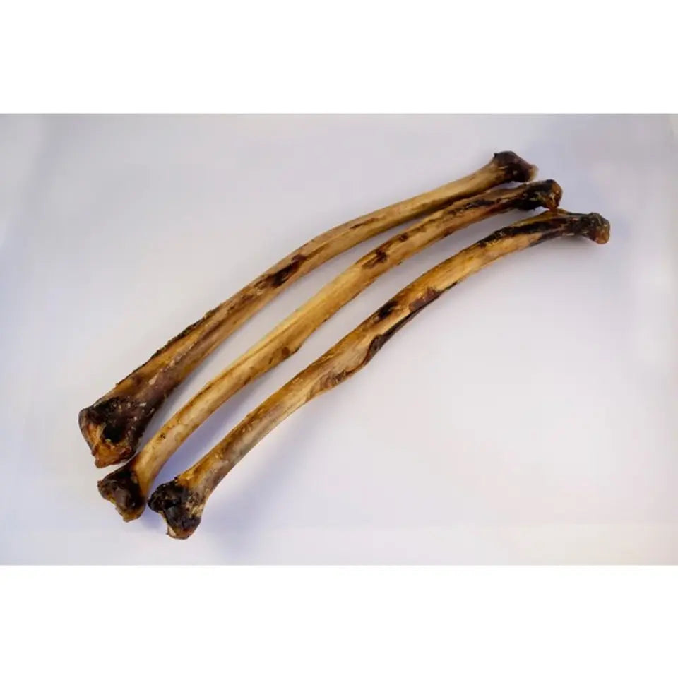 Ostrich Wing Bone – Lightweight, Hypoallergenic & Just 1% Fat