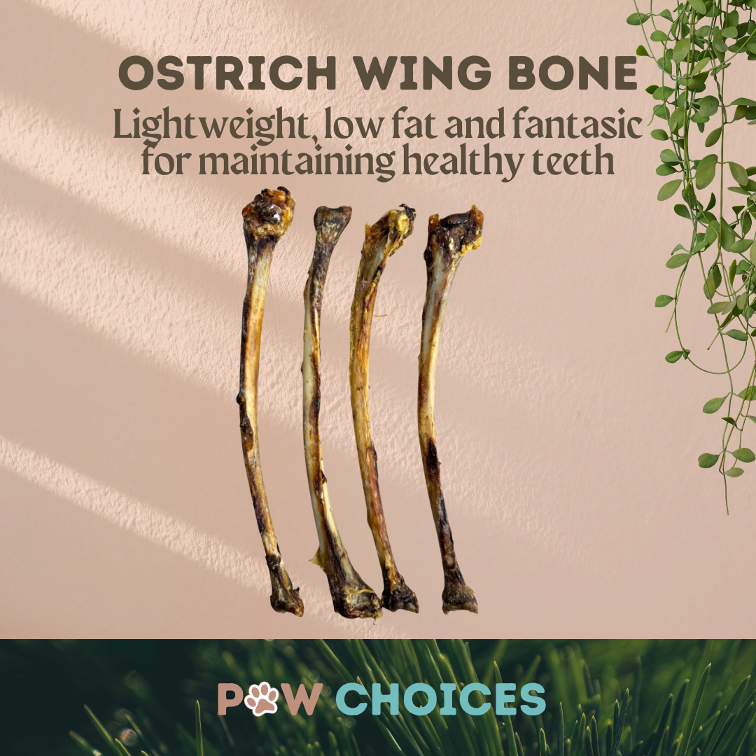 Ostrich Wing Bone – Lightweight, Hypoallergenic & Just 1% Fat