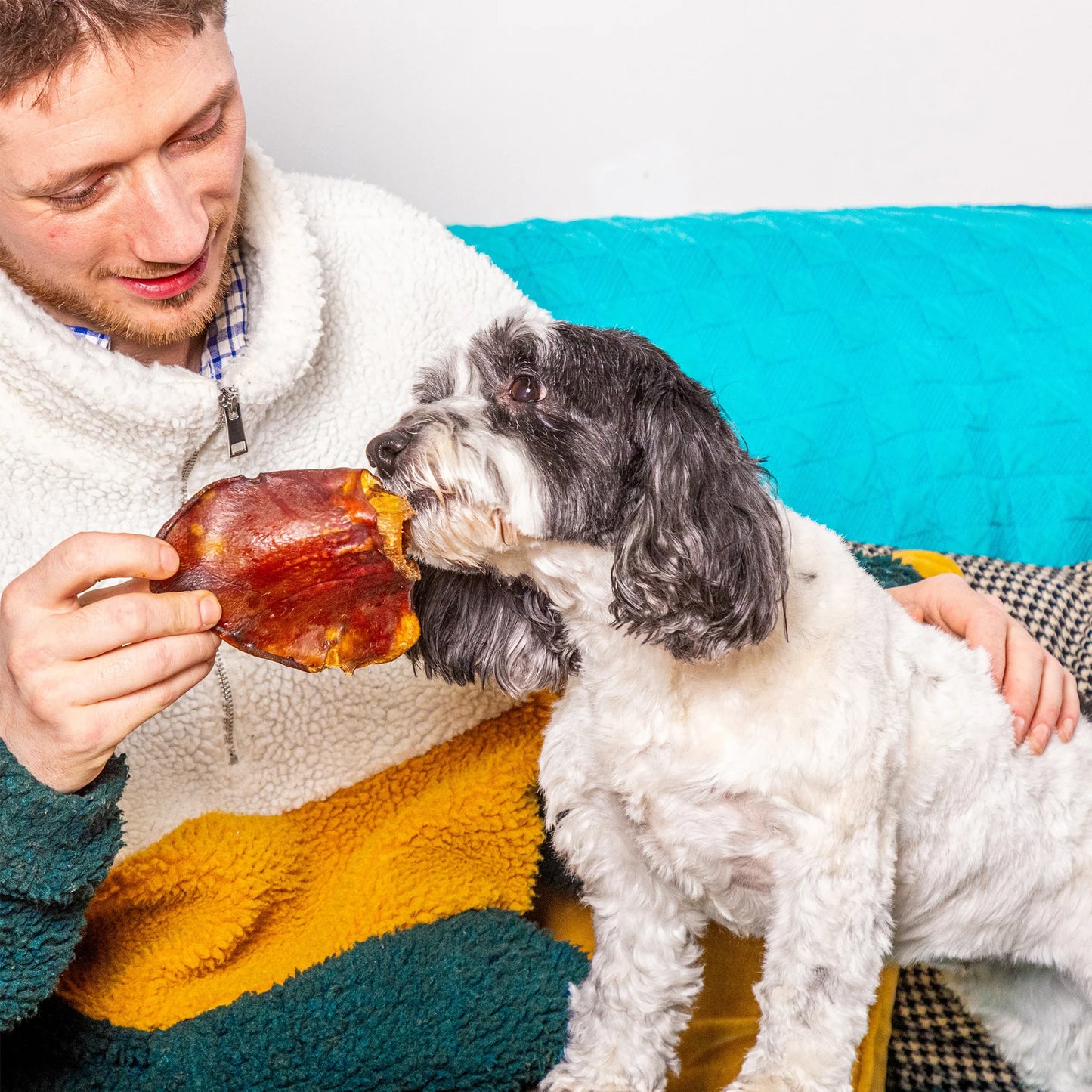 Grade A Pig's Ears - A Classic Natural Chew That Never Get's Old