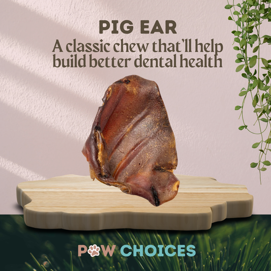 Grade A Pig's Ears - A Classic Natural Chew That Never Get's Old