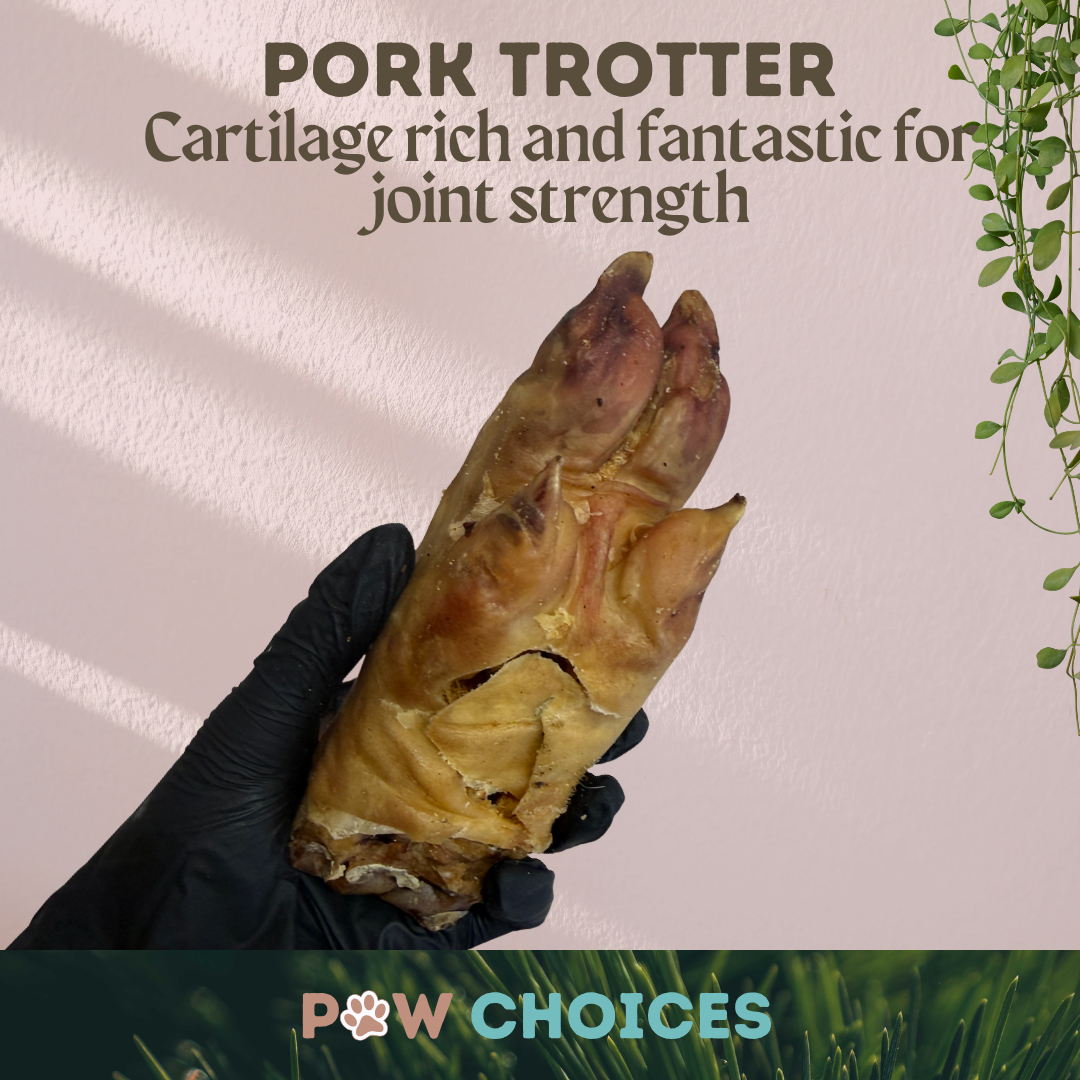 Pig Trotter – Crunchy, Cartilage-Rich & Naturally Satisfying