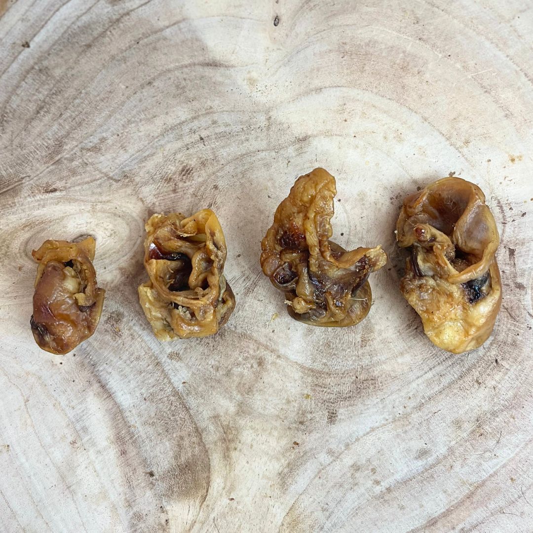 Porky Bites aka Pork Inner Ear – Crunchy, Protein-Packed & Naturally Nutritious