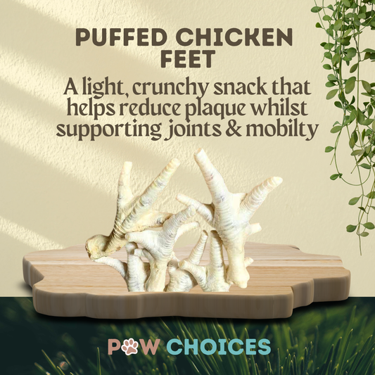 Puffed Chicken Feet – Crunchy & Airy Chews
