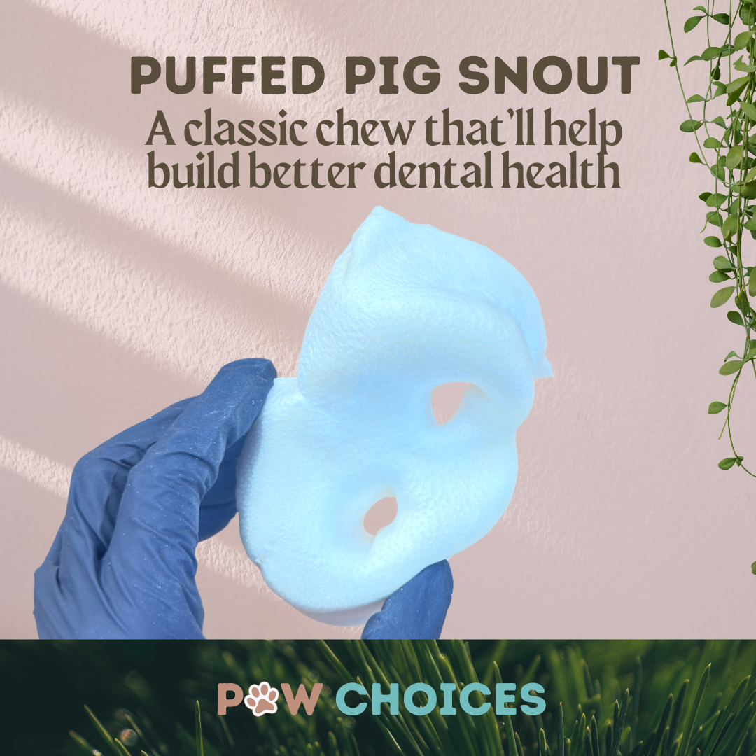 Puffed Pig Snout – Light, Crunchy & Irresistibly Tasty