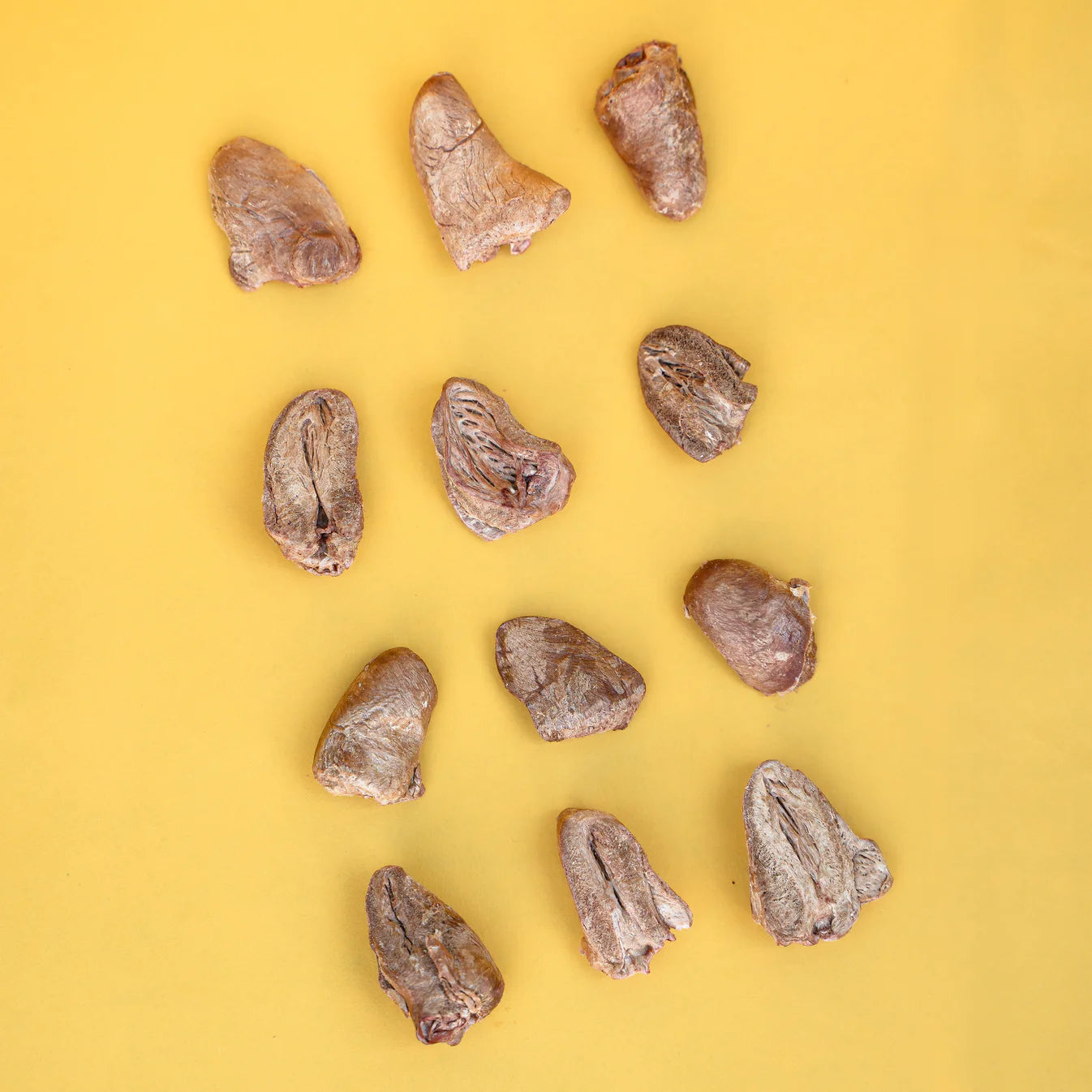 Waita Freeze Dried Chicken Heart (40g) For Dogs & Cats