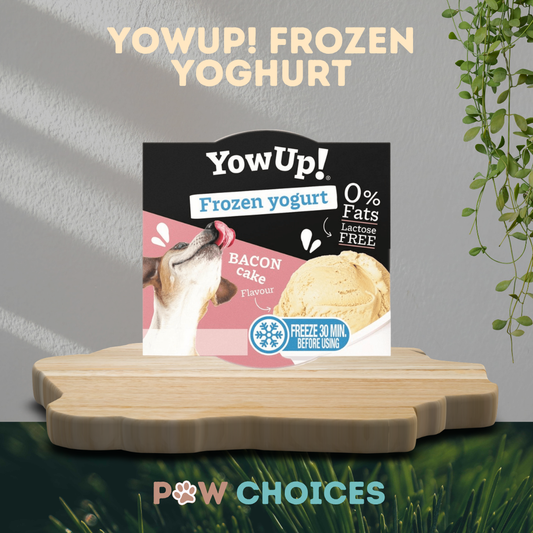 YowUp! Frozen Yogurt – 110g | Bacon Cake Flavour | Cooling Treat for Dogs & Cats | Paw Choices