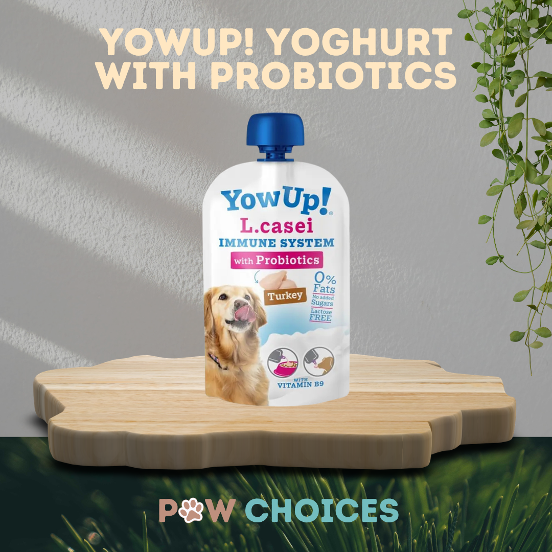 YowUp! Probiotic Yoghurt For Dogs (115g) - Turkey