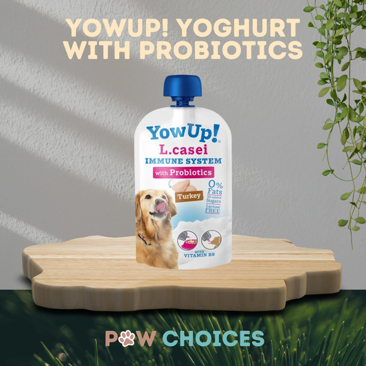 YowUp! Probiotic Yoghurt For Dogs (115g) - Turkey